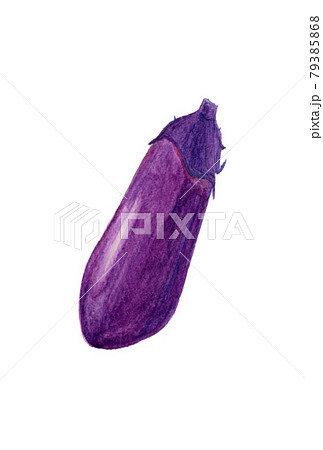 新鮮なナスの手描き水彩イラストのイラスト素材