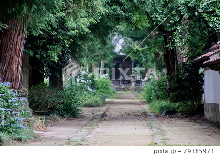 医王寺（福島県・福島市） 79385971
