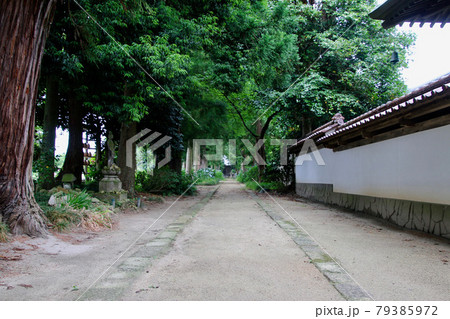 医王寺(福島県・福島市) 医王寺(福島県・福島市) 79385972