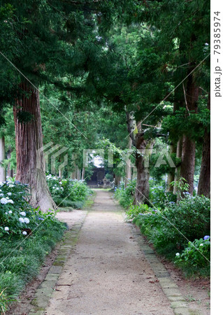 医王寺(福島県・福島市) 医王寺(福島県・福島市) 79385974