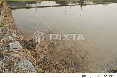 田植えを前に田んぼに水を張る 79385997