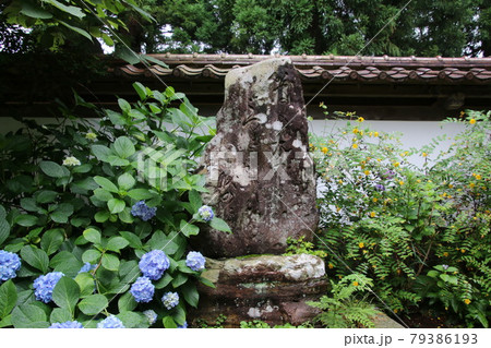 医王寺・芭蕉の句碑(福島県・福島市) 医王寺・芭蕉の句碑(福島県・福島市) 79386193