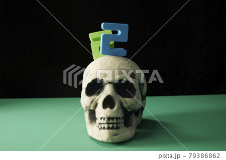 ガイコツ 79386862