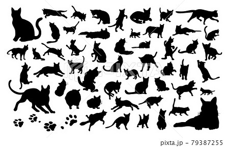 52種類のかわいい猫のイラストセット 79387255