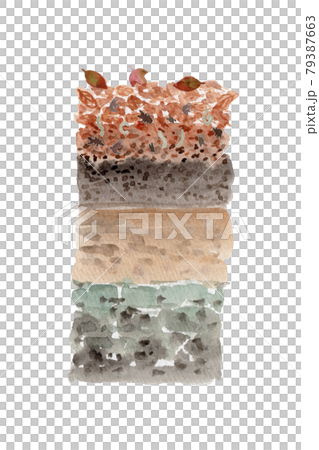 Watercolor illustration of the image of the organisms living in the soil decomposing the fallen leaves 79387663