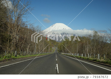 羊蹄山に続く道 79387672