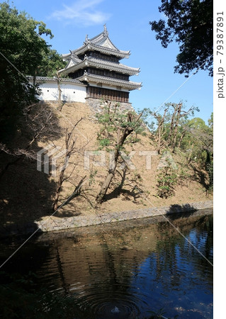 西尾城本丸丑寅櫓 79387891