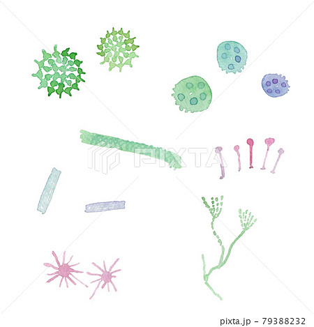 微生物 細菌 菌類の水彩イメージイラストのイラスト素材 7932