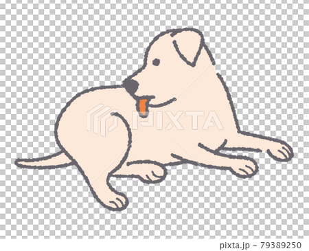 体を舐める犬のイラスト 体を舐める犬のイラスト 79389250