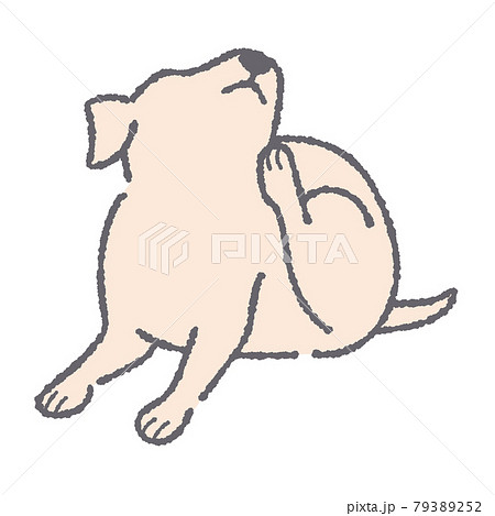 体をかく犬のイラストのイラスト素材