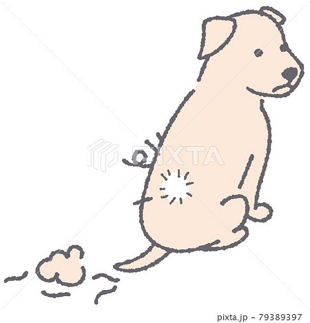 毛並みが悪い犬のイラスト 79389397