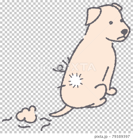 毛並みが悪い犬のイラスト 79389397
