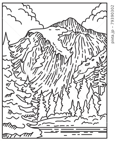 North Cascades National Park Located in Northern Washington State United States Mono Line or Monoline Black and White Line Art 79390302