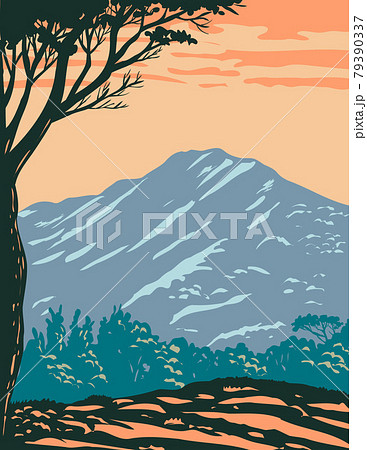 The Peak of Mount Tamalpais or Mount Tam Located Within Mt. Tamalpais State Park in Marin County California United States of America WPA Poster Art 79390337