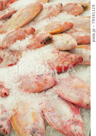Fresh fishes on ice at the fish market Fresh fishes on ice at the fish market 79391129