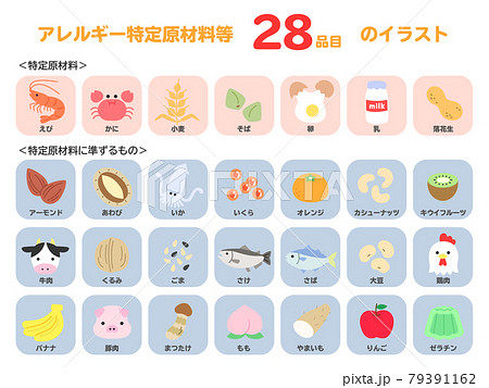 食物アレルギー　アイコン　食品　特定原材料　線なしフルカラー 79391162