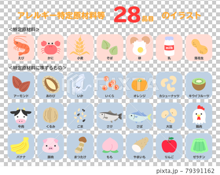 食物アレルギー　アイコン　食品　特定原材料　線なしフルカラー 79391162