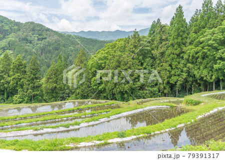 貝原棚田 貝原棚田 79391317