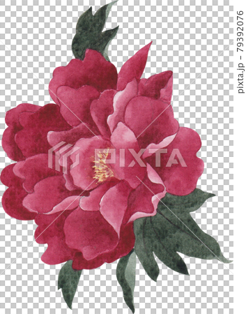 Bird and flowers of Chinese concept watercolor Bird and flowers of Chinese concept watercolor 79392076