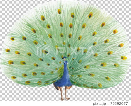 Bird and flowers of Chinese concept watercolor Bird and flowers of Chinese concept watercolor 79392077