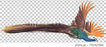 Bird and flowers of Chinese concept watercolor Bird and flowers of Chinese concept watercolor 79392090