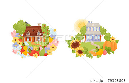 Village Houses Standing on Meadow with Winding Path Surrounded by Circular Crop and Flower Arrangement Vector Set Village Houses Standing on Meadow with Winding Path Surrounded by Circular Crop and Flower Arrangement Vector Set 79393803