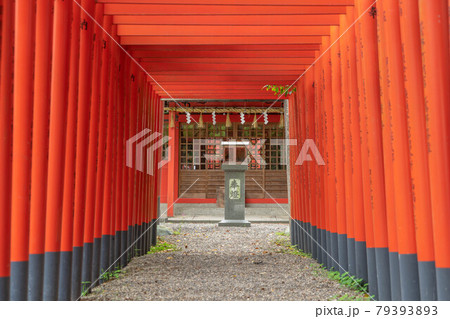 鎮国守国神社 鎮国守国神社 79393893