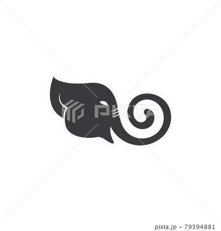 elephant logo vector icon illustration 79394881