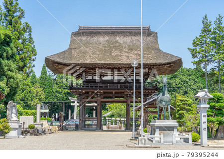 苗村神社 79395244
