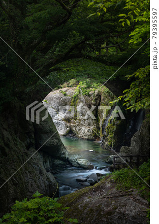 猿飛千壺峡 猿飛千壺峡 79395597
