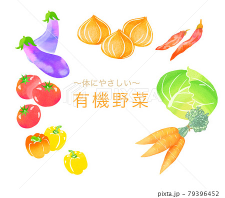 体にやさしい有機野菜のイラストセットのイラスト素材