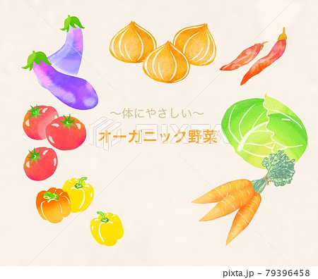 体にやさしいオーガニック野菜のイラストセットのイラスト素材