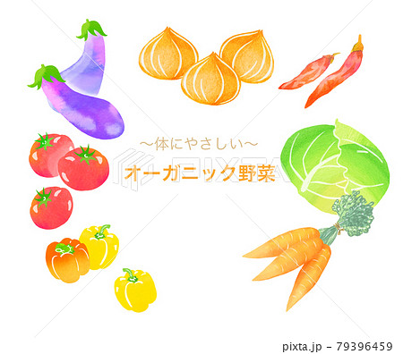 体にやさしいオーガニック野菜のイラストセットのイラスト素材