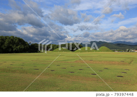 ヒマワリ カボチャ ズッキーニ 79397448