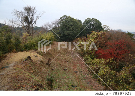 韮山城跡 韮山城跡 79397925