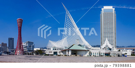 晴れ渡った神戸のメリケンパーク（神戸ポートタワー、神戸海洋博物館） 79398881