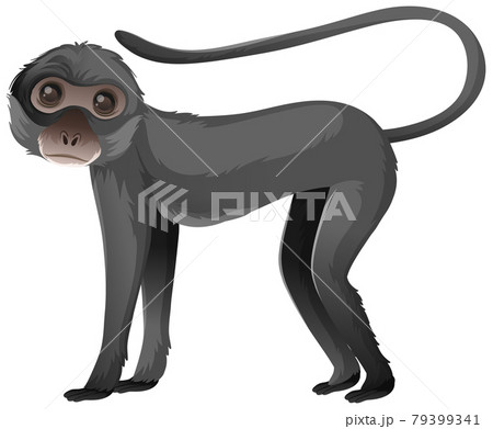 Animal cartoon character of Spider monkey on... - Stock Illustration  [79399341] - PIXTA