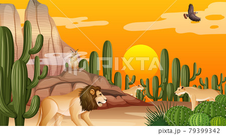 Desert forest landscape at sunset time scene with wild animals 79399342