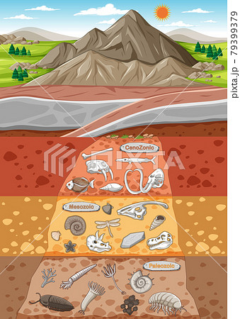 Scene with various animals bones and dinosaurs fossils in soil layers 79399379