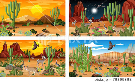 Different desert forest landscape scenes with animals and plants 79399398