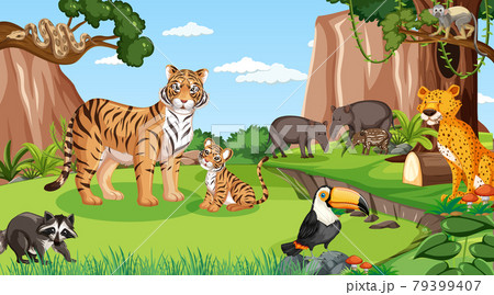 Wild animals in forest scene with many trees Wild animals in forest scene with many trees 79399407