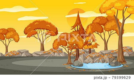 Empty park scene at sunset time with many trees Empty park scene at sunset time with many trees 79399629