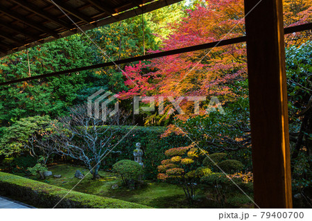京都 桂春院の真如の庭と紅葉 京都 桂春院の真如の庭と紅葉 79400700