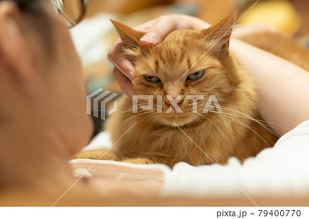 猫と一緒 茶トラ猫 猫と一緒 茶トラ猫 79400770