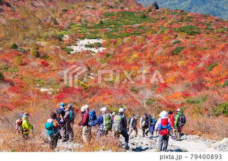 那須岳、姥ヶ平の紅葉を望む登山者 79400893
