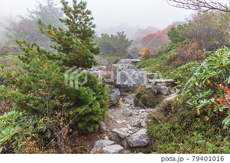 霧に包まれた茶臼岳（那須岳）の登山道【栃木県・那須町】 79401016