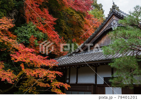 京都　南禅寺の還源庭の紅葉 79401201
