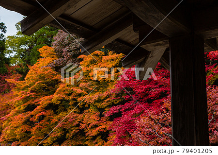 京都　南禅寺の回廊から見える紅葉 79401205