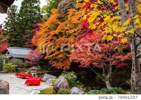 京都　南禅寺の龍吟庭の紅葉 79401207