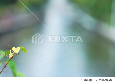 Saen Saep Canal in Bangkok（タイ、バンコクを流れるセーンセープ運河 79402030